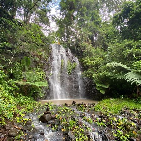 Nimbin Waterfall Retreat Buitenkant foto