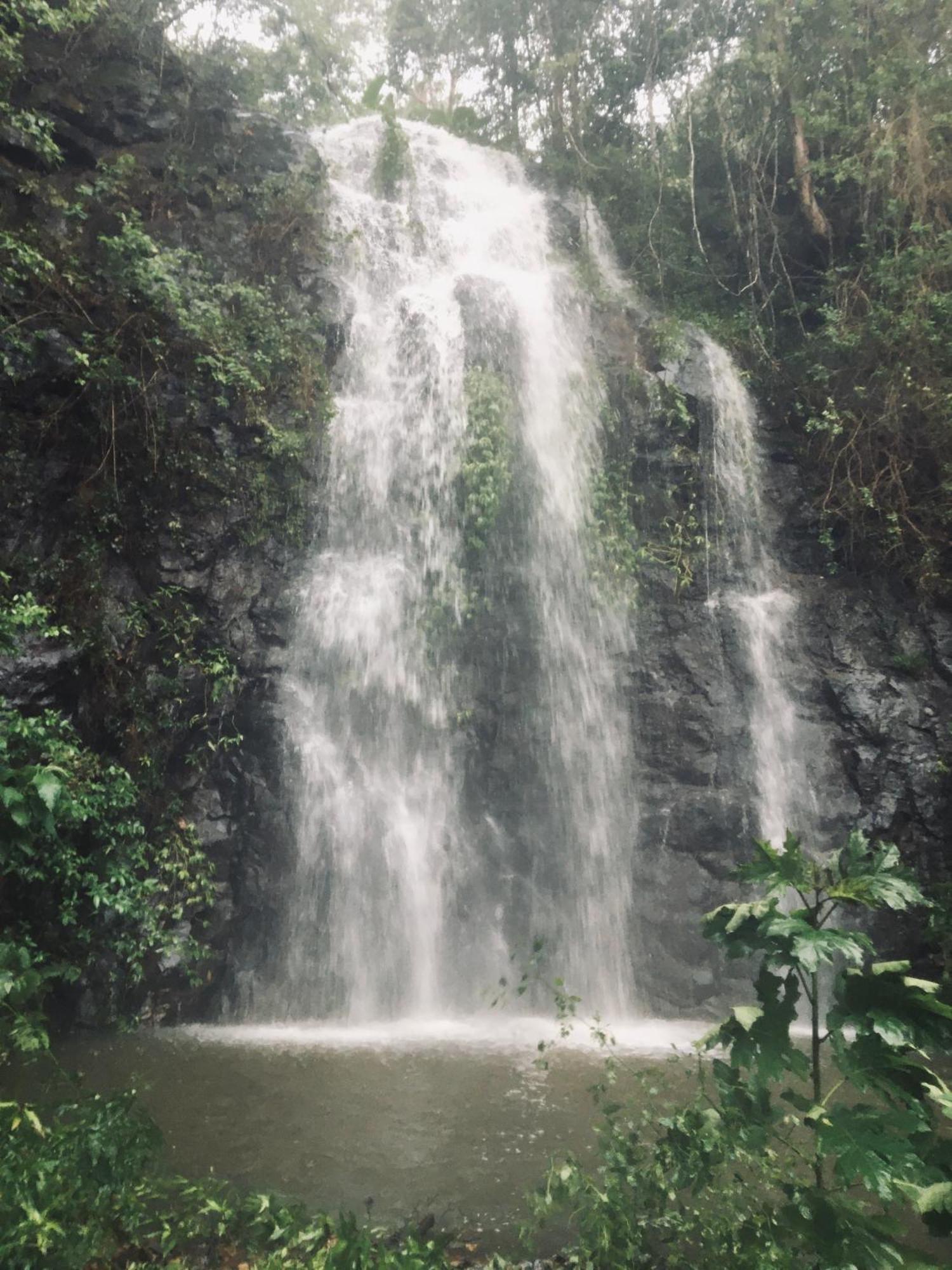 Nimbin Waterfall Retreat Buitenkant foto