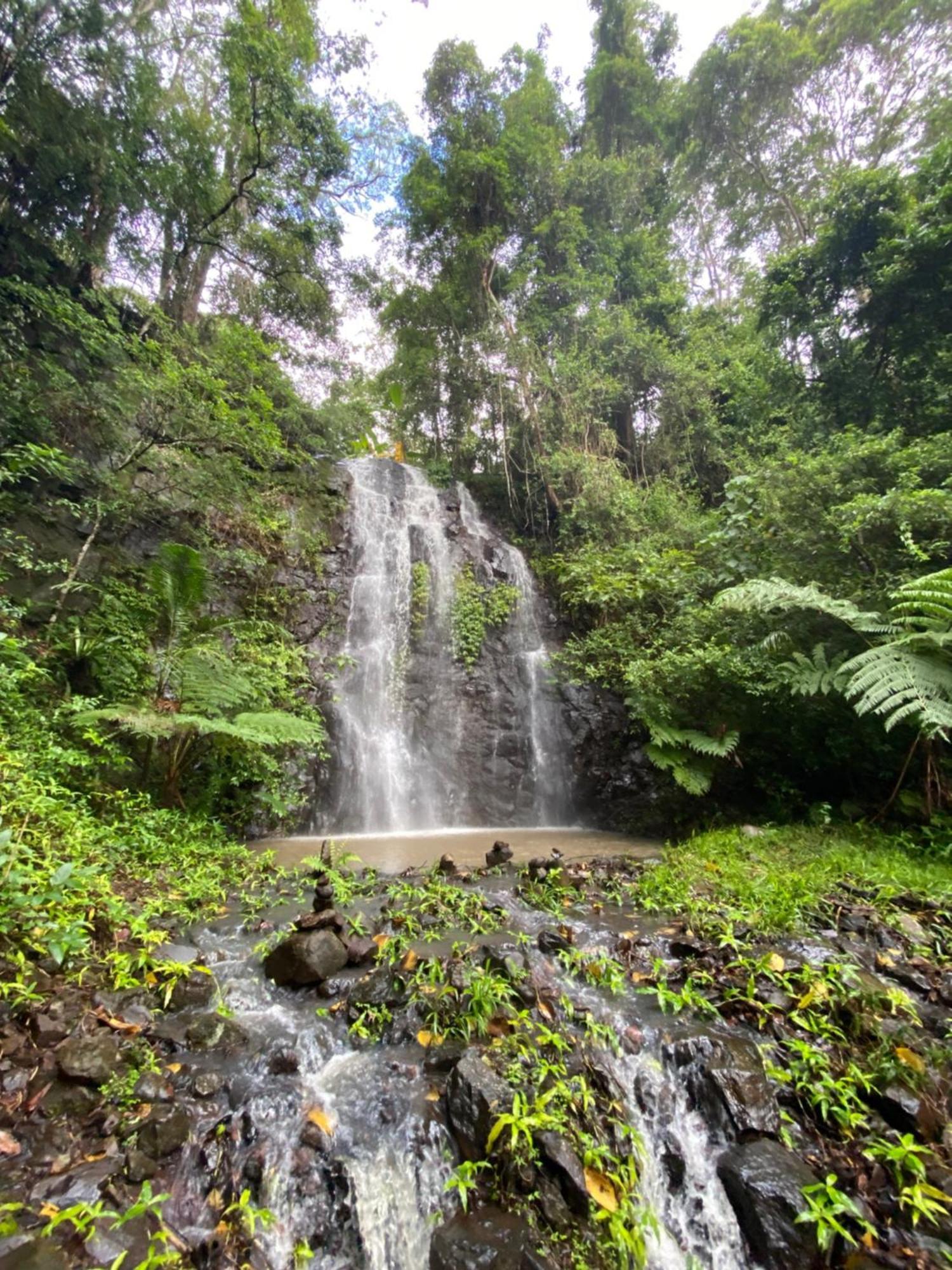 Nimbin Waterfall Retreat Buitenkant foto